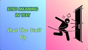 STSU Meaning in Text