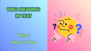 WBU Meaning in Text