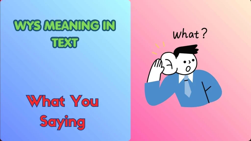 WYS Meaning in Text